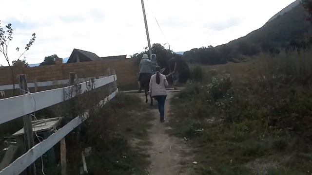 Ослики
