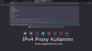 IPv4 Proxy Kullanımı