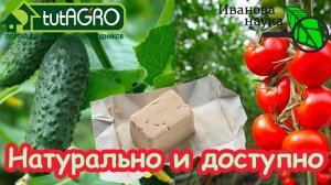 САМАЯ ДЕШЕВАЯ ПОДКОРМКА ДЛЯ ВАШИХ РАСТЕНИЙ! Рассада прёт как на дрожжах!