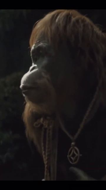 Kingdom of the Planet of the Apes(2024) Ape Shall Not Kill Ape смотреть онлайн