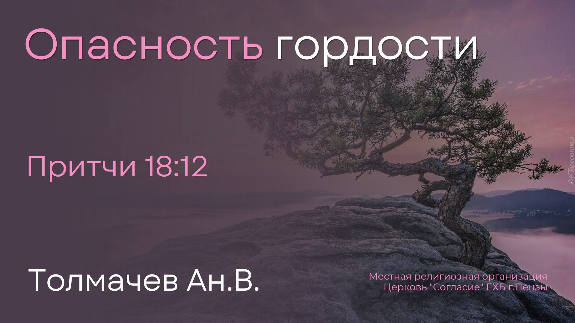 Опасность гордости | Толмачев Ан.В. смотреть онлайн