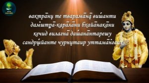 Бхагават Гита 11.24-30