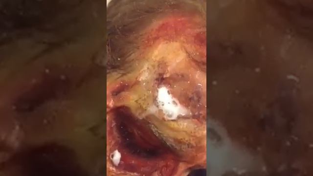 Test footage for the film "Cowboys vs Dinosaurs" смотреть онлайн