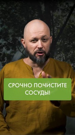 СРОЧНО почисти свои СОСУДЫ!