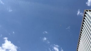 Серпасто выворотные голуби СПб