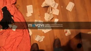 Реакция животных когда их ругают