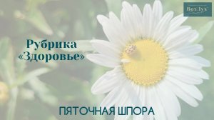 Пяточная шпора | Психосоматика |Заболевания | Татьяна Бекаревич