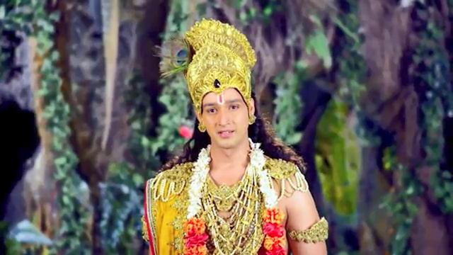 Учение Кришны. Наказание и искупление