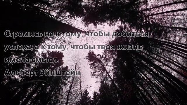 Мотивирующие цитаты смотреть онлайн