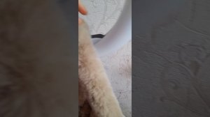 мой час после школы