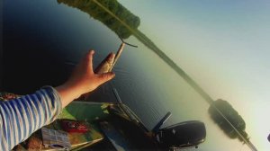 #фидер с лодки -для начинающих