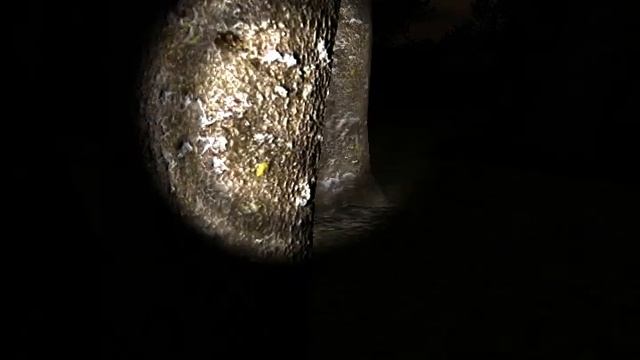 Две потерявшиеся овцы смотреть онлайн