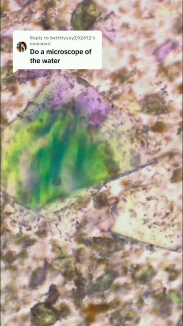 That Geode Water Was Freed! But Here's Some More - #crystals #gems #nature #microscope #water смотреть онлайн