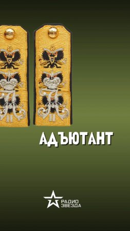 ПО СЛУЧАЮ ПРИСВОЕНИЯ: как воинское звание адъютанта стало должностью обер-офицера? #армия_россии