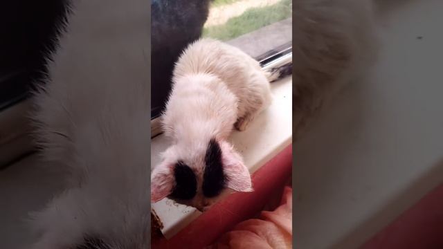 фото отчёт смотреть онлайн