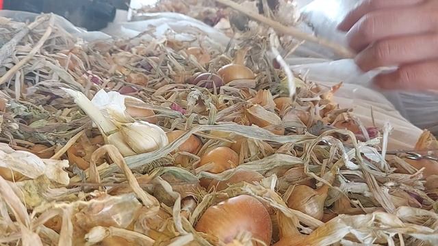 Cum pregatim usturoiul pentru păstrare pentru iarnă смотреть онлайн