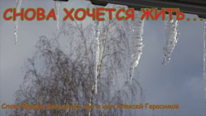 СНОВА ХОЧЕТСЯ ЖИТЬ Жизнеутверждающая песня, которую хочется петь и делиться с друзьями