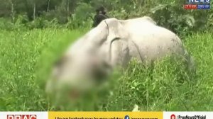 International Rhino poacher arrested from Guwahati