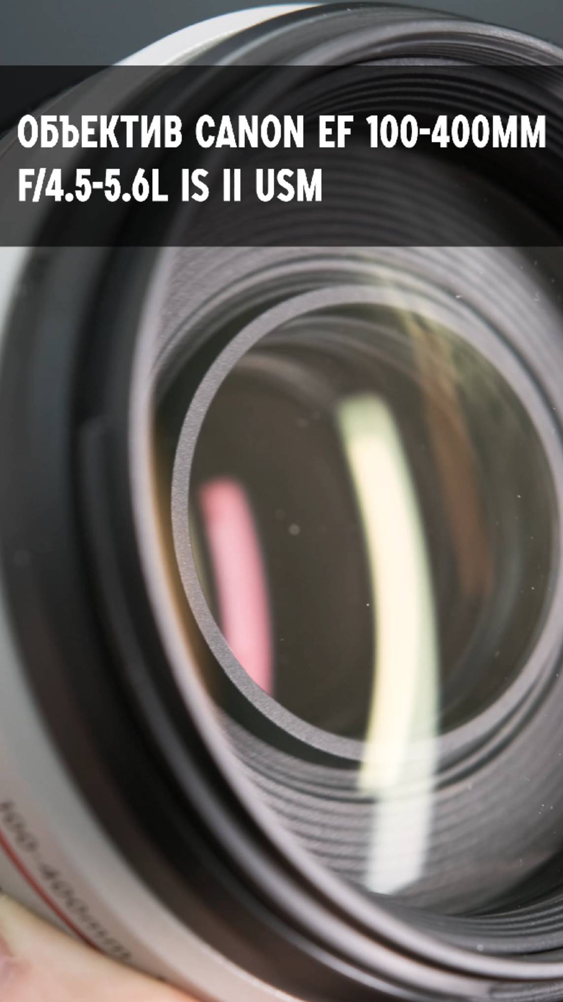 Canon EF 100-400mm f/4.5-5.6L IS II USM