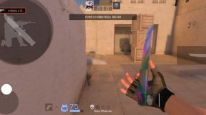 играем в standoff.