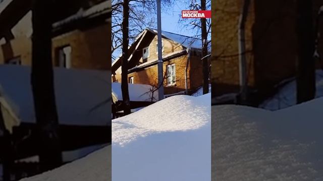 Гуляем ВМесте. Поселок художников Сокол