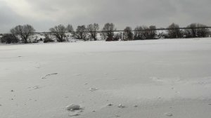 Река Дон в феврале