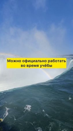 Протестировала 5 Стран для Обучения за Границей и Канада Победила