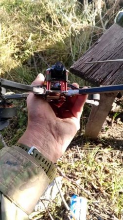 FPV