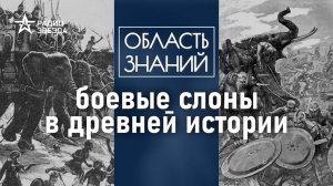 Как Александр Македонский использовал слонов в битвах? Лекция историка Александра Нефёдкина