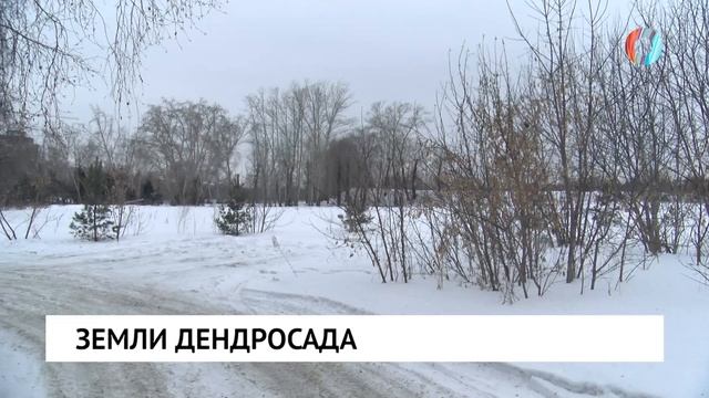 Земли дендросада