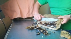 Свечные станки портативные. Делаем на заказ. 89208929003 WhatsApp, Telegram.