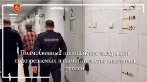 Подмосковные полицейские задержали подозреваемых в вымогательстве миллиона рублей