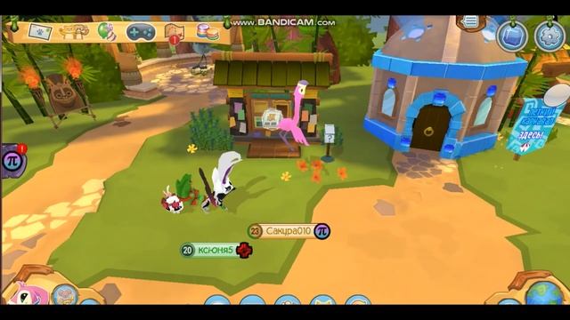 ОБНОВЛЕНИЕ! Обзор на Фламинго! AnimalJam