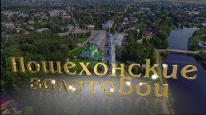 Ярославская область Пошехонские золотобои.