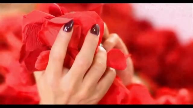 Conchita Wurst Rise Like A Phoenix Austria 2014 Eurovision Song Contest смотреть онлайн