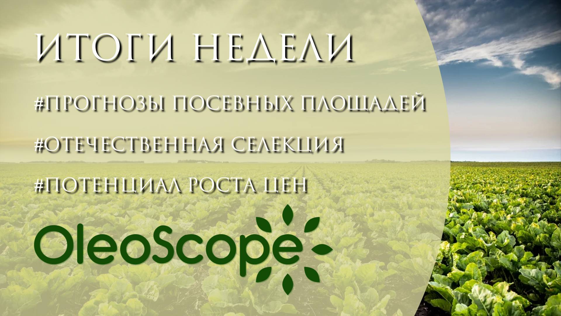 Прогнозы посевных площадей, результаты отечественной селекции и потенциал роста цен на масла