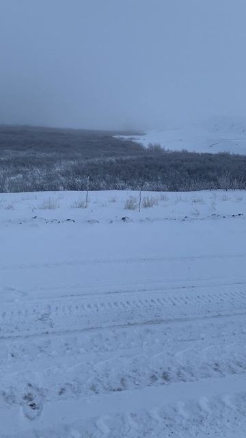 Путешествие в большеземельскую тундру. 2024 год.
