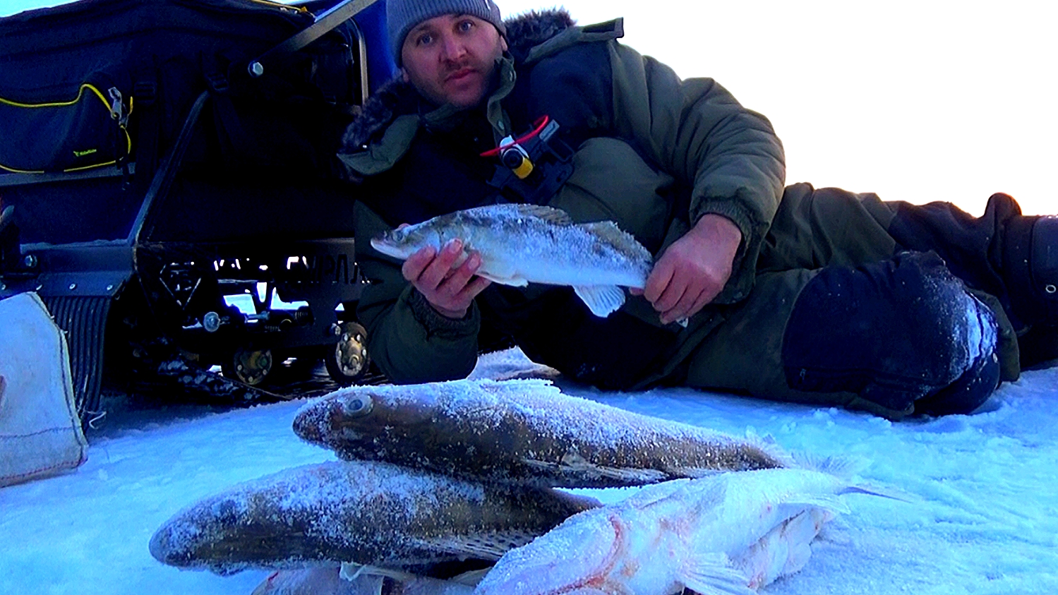 СТОЛЬКО СУДАКА Я ЕЩЕ НЕ ЛОВИЛ! РЫБАЛКА НА ВОДОХРАНИЛИЩЕ! СУДАК КЛЕВАЛ ВЕСЬ ДЕНЬ#рыбалка #судак смотреть онлайн
