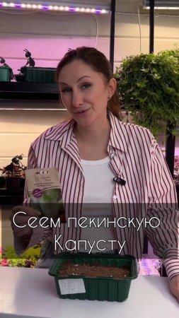 Сеем пекинскую капусту🥬