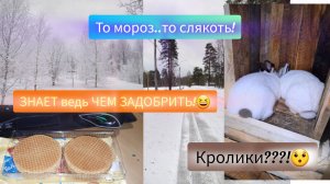 30-31.01.2024 ЭТО не ТЕБЕ!😆ЖЕЛЕЗНАЯ салфетка!🤔ТЕБЕ это НАДО_!!🙉ОНА не СТРЁМНАЯ!!!🤫ЭКОНОМИЯ!