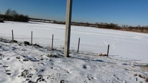 24.02.2025.Усадьба Парк Кино Ляхово. Набережная им. Героев СВО. Ляховское озеро (нижнее)Обзор.Часть1