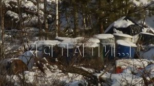Химические отходы грузовиками по ночам отвозят в лес на окраине Нижнего Новгорода