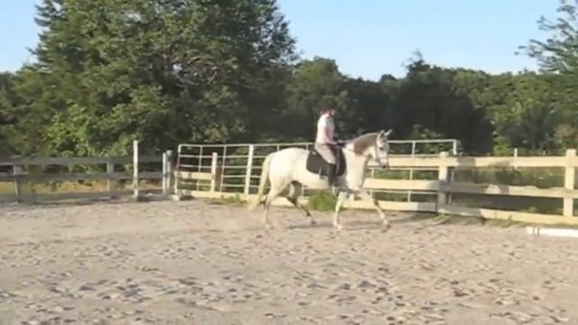 Aldonza OSF: Azteca Mare For Sale смотреть онлайн