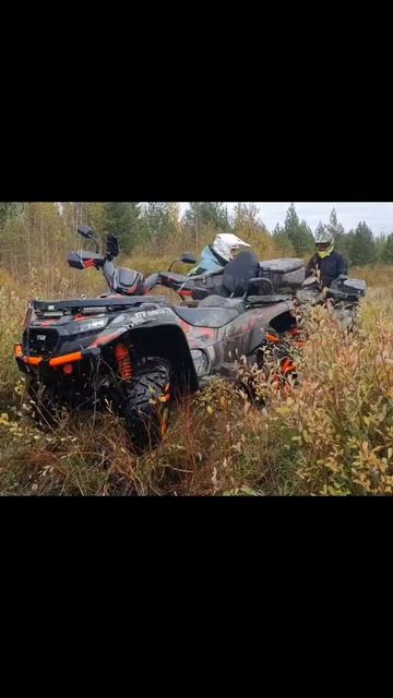 Квадроциклы TGB BLADE 1000 и 600. Поездка на квадриках в охотхозяйство Лен. Обл. 2024. смотреть онлайн