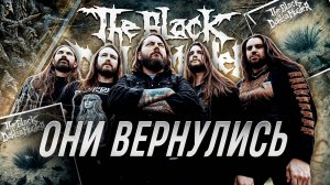 Servitude | The Black Dahlia Murder - Они вернулись! | Обзор и распаковка бокса