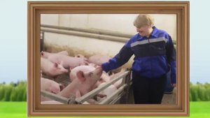 9  Чекулаев Е.В_МАОУ СОШ №7 г. Гай