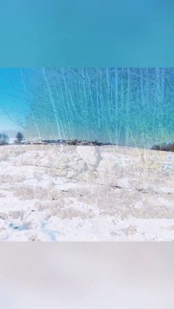 Зимняя прогулка
