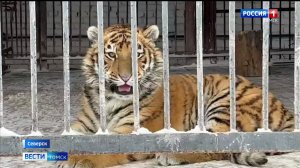 Вести. Томск, выпуск от 22.02.2025 20:50