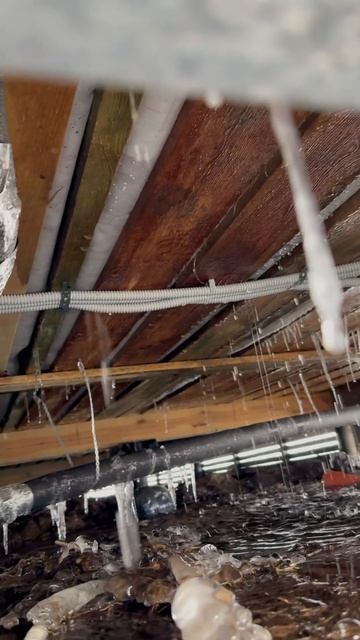 IMG_8091 смотреть онлайн