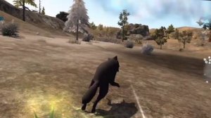 The wolf PvP / Я как Федерико Феллини